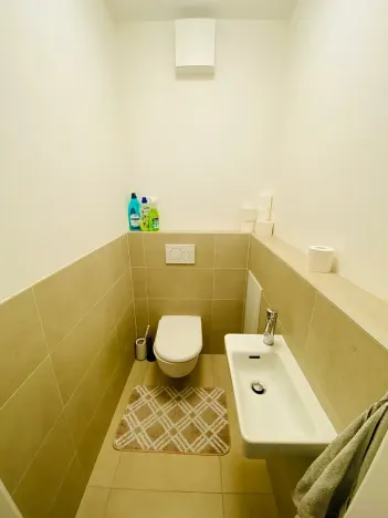 Prodej bytu 2+1, Brno, U Červeného mlýna, 56 m2