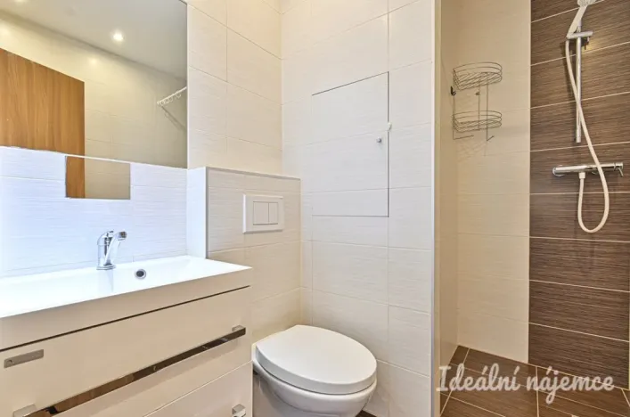 Pronájem bytu 1+1, Brno, Černého, 34 m2