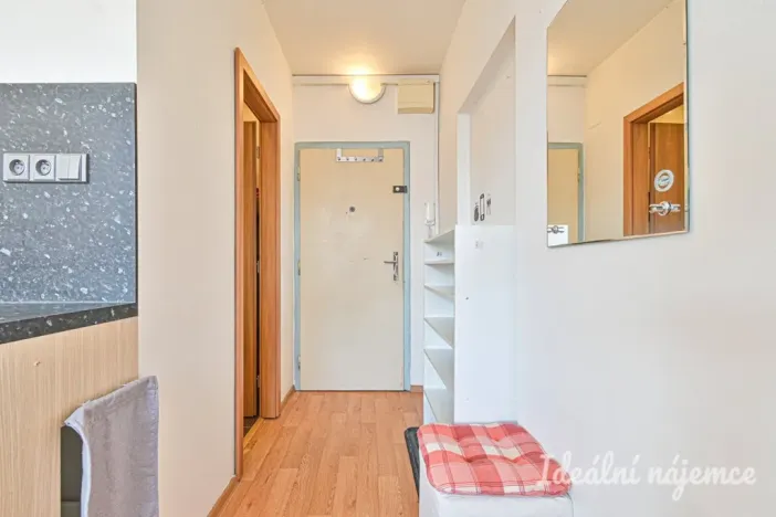 Pronájem bytu 1+1, Brno, Černého, 34 m2