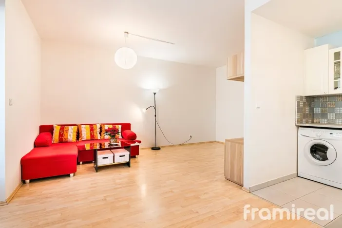 Pronájem bytu 1+kk, Brno, U Leskavy, 36 m2