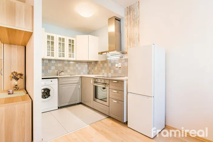 Pronájem bytu 1+kk, Brno, U Leskavy, 36 m2