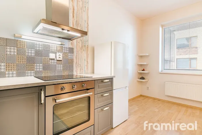 Pronájem bytu 1+kk, Brno, U Leskavy, 36 m2