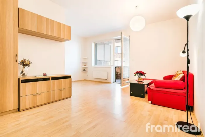 Pronájem bytu 1+kk, Brno, U Leskavy, 36 m2