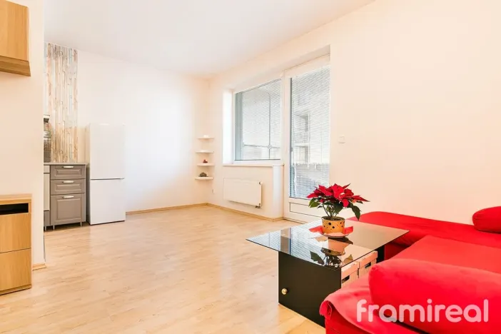 Pronájem bytu 1+kk, Brno, U Leskavy, 36 m2