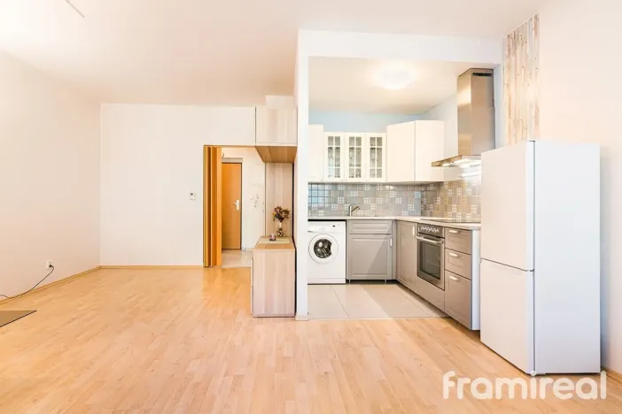 Pronájem bytu 1+kk, Brno, U Leskavy, 36 m2