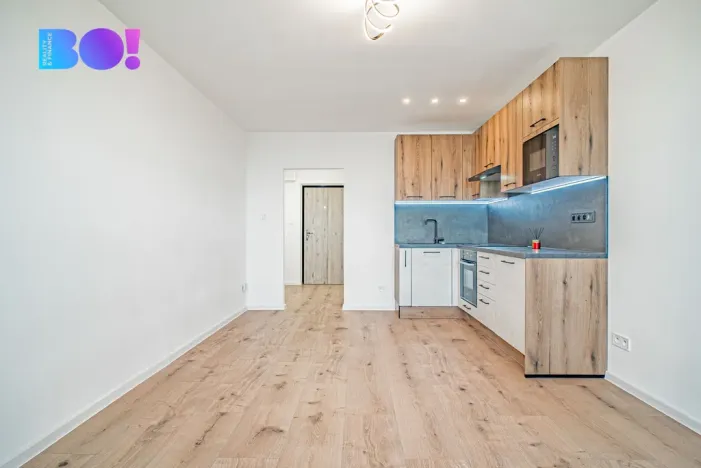 Prodej bytu 1+kk, Ostrava, Lumírova, 27 m2