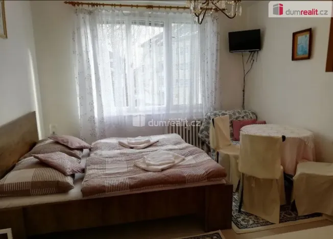 Pronájem bytu 1+kk, Mariánské Lázně - Úšovice, Kubelíkova, 24 m2
