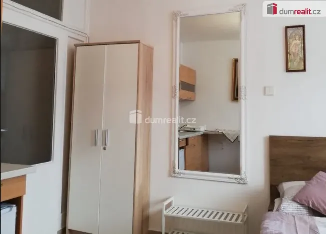 Pronájem bytu 1+kk, Mariánské Lázně - Úšovice, Kubelíkova, 24 m2