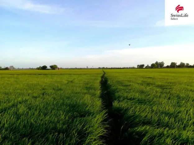 Prodej pole, Knínice, 75919 m2