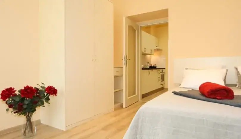 Pronájem bytu 1+1, Praha - Vinohrady, Máchova, 40 m2