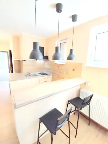 Pronájem bytu 1+1, Dalovice, Pod Parkem, 40 m2