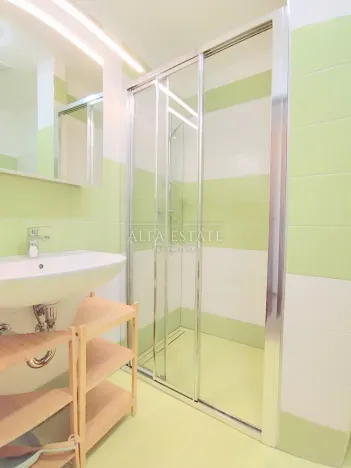 Pronájem bytu 1+1, Dalovice, Pod Parkem, 40 m2