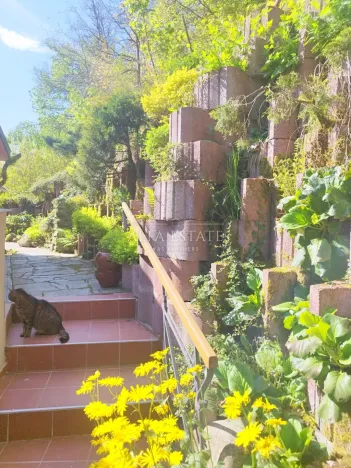 Pronájem bytu 1+1, Dalovice, Pod Parkem, 40 m2