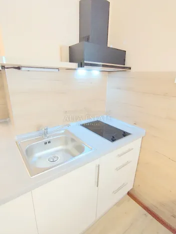 Pronájem bytu 1+1, Dalovice, Pod Parkem, 40 m2