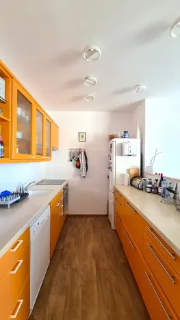 Pronájem bytu 3+kk, Praha - Podolí, Pod Pekařkou, 71 m2