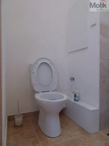 Pronájem bytu 2+kk, Most, M. G. Dobnera, 54 m2