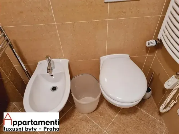 Pronájem bytu 3+kk, Praha - Vinohrady, Mánesova, 72 m2