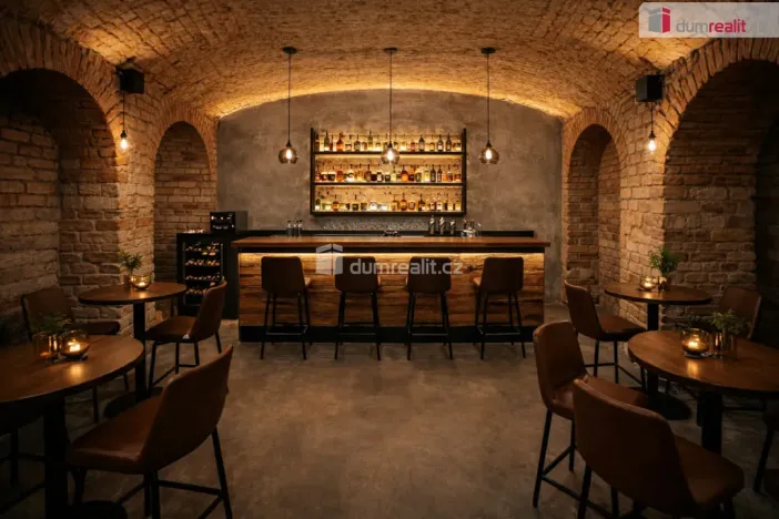 Pronájem obchodního prostoru, Praha - Smíchov, Lidická, 200 m2