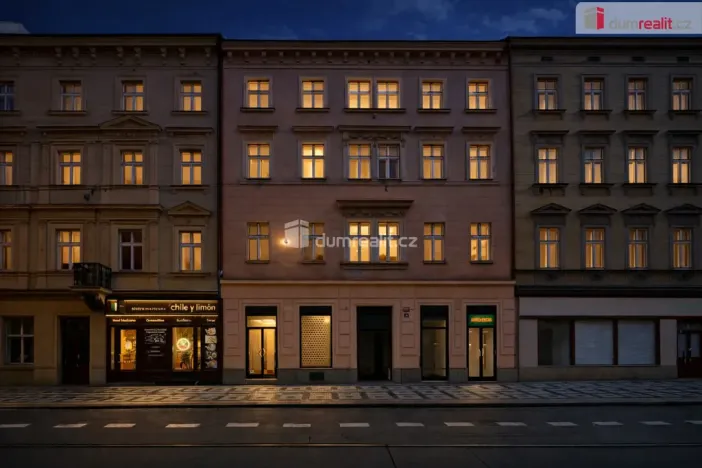 Pronájem obchodního prostoru, Praha - Smíchov, Lidická, 200 m2