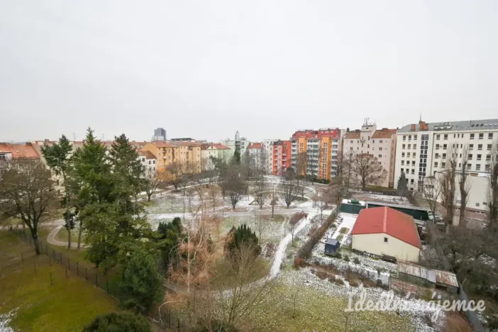 Pronájem bytu 3+kk, Brno, Křídlovická, 62 m2