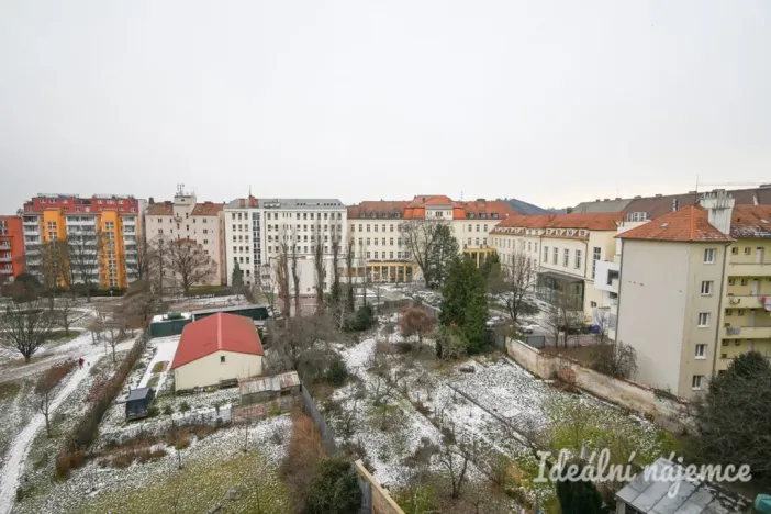 Pronájem bytu 3+kk, Brno, Křídlovická, 65 m2