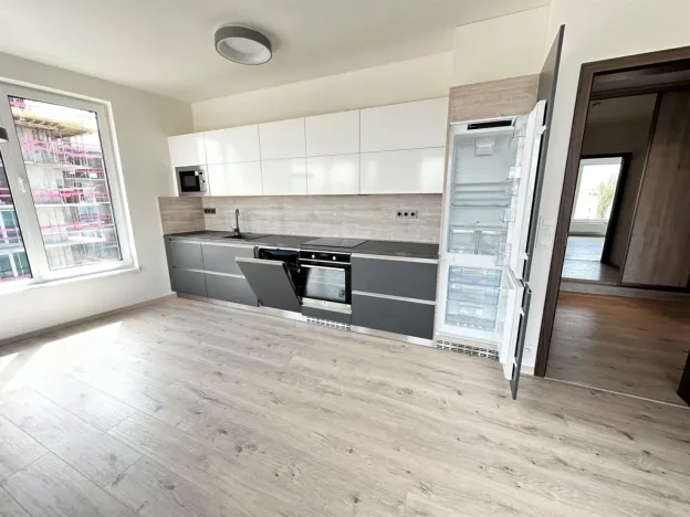 Pronájem bytu 2+kk, Ostrava - Moravská Ostrava, F. X. Riepla, 60 m2