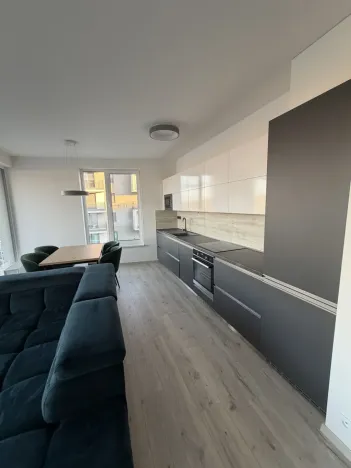 Pronájem bytu 2+kk, Ostrava - Moravská Ostrava, F. X. Riepla, 60 m2