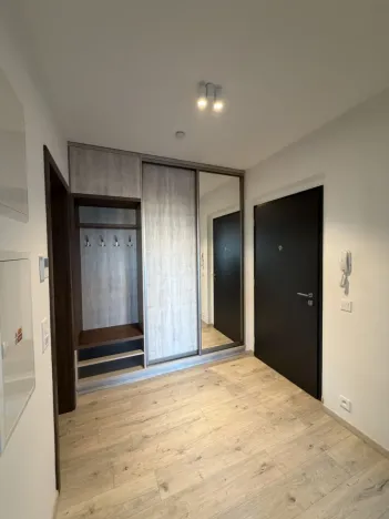 Pronájem bytu 2+kk, Ostrava - Moravská Ostrava, F. X. Riepla, 60 m2