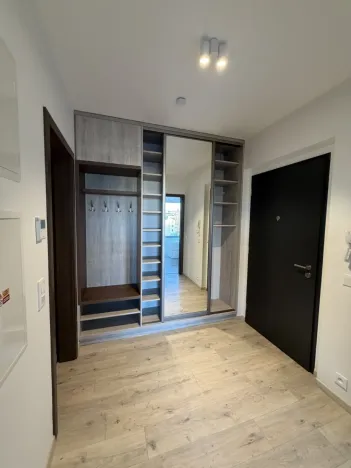 Pronájem bytu 2+kk, Ostrava - Moravská Ostrava, F. X. Riepla, 60 m2