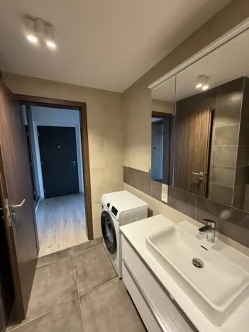 Pronájem bytu 2+kk, Ostrava - Moravská Ostrava, F. X. Riepla, 60 m2