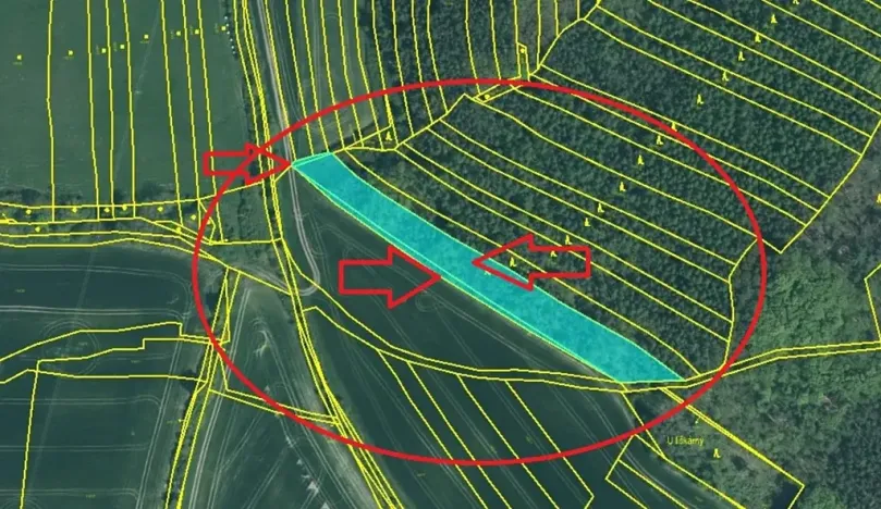 Prodej lesa, Nezdice, 4671 m2