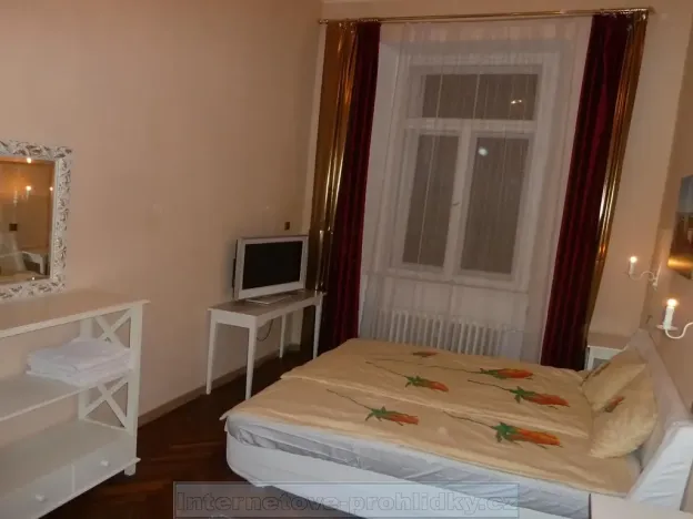 Pronájem pokoje, Praha - Nové Město, Charvátova, 41 m2