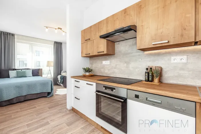 Pronájem bytu 1+1, Rychnov nad Kněžnou, Javornická, 38 m2