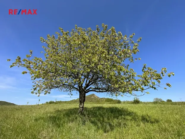 Prodej pozemku pro bydlení, Podsedice, 4847 m2