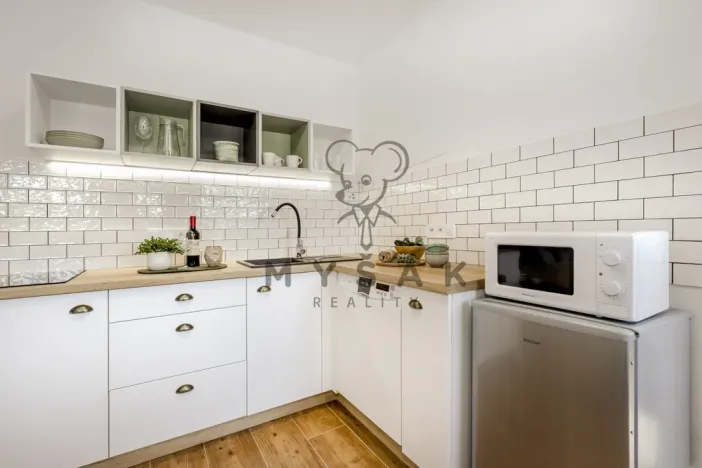 Pronájem bytu 1+kk, Drahotěšice, 40 m2