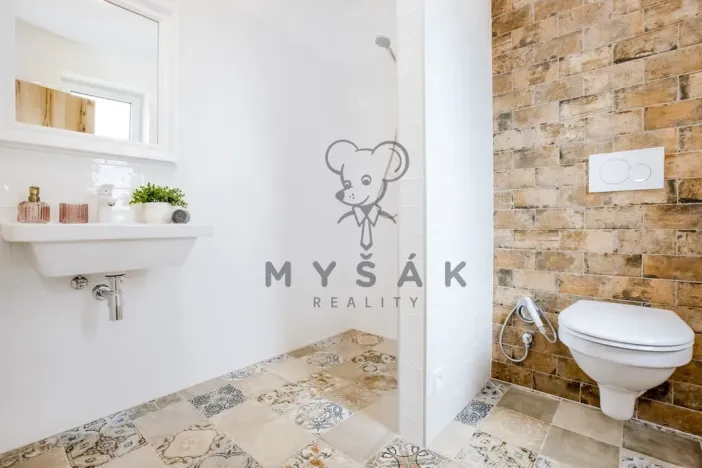 Pronájem bytu 1+kk, Drahotěšice, 40 m2