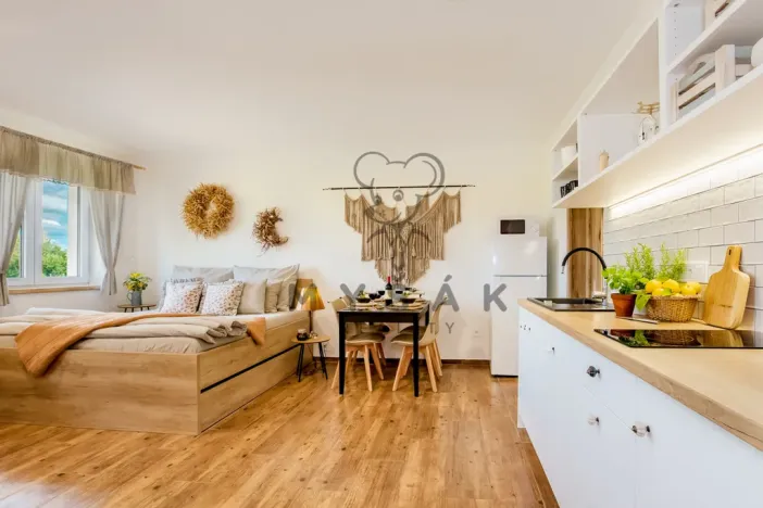 Pronájem bytu 1+kk, Drahotěšice, 40 m2