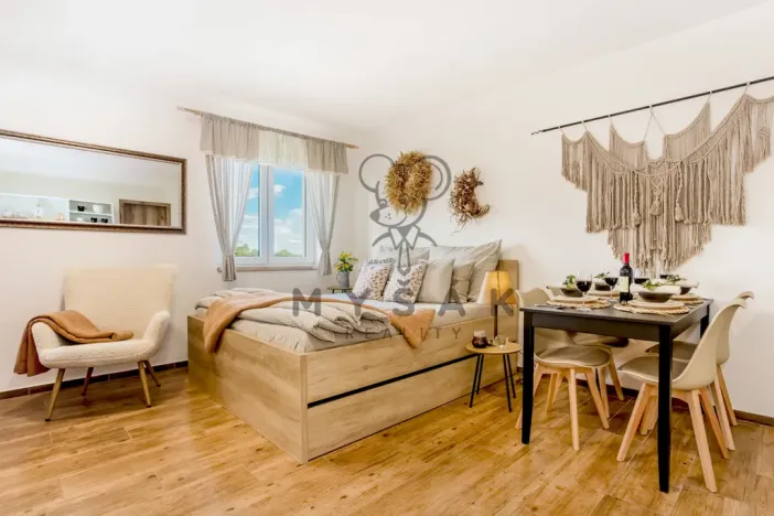 Pronájem bytu 1+kk, Drahotěšice, 40 m2