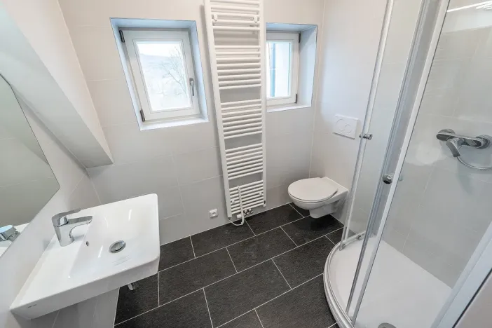 Pronájem bytu 1+kk, Liberec - Liberec III-Jeřáb, Americká, 53 m2