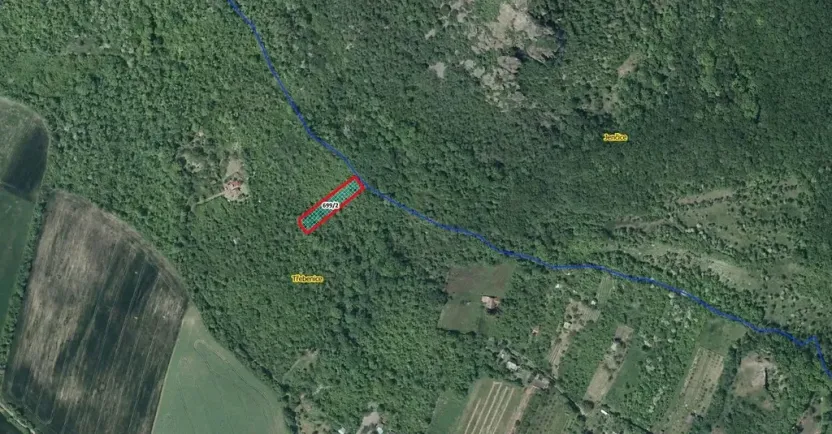 Prodej lesa, Třebenice, 1475 m2