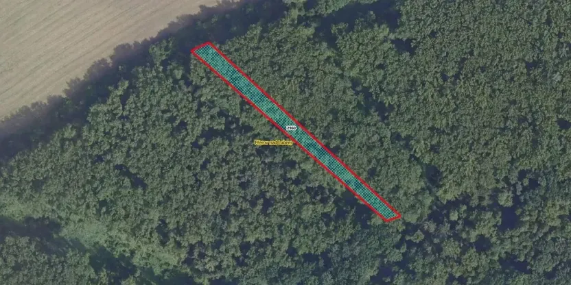 Prodej lesa, Přerov nad Labem, 2852 m2