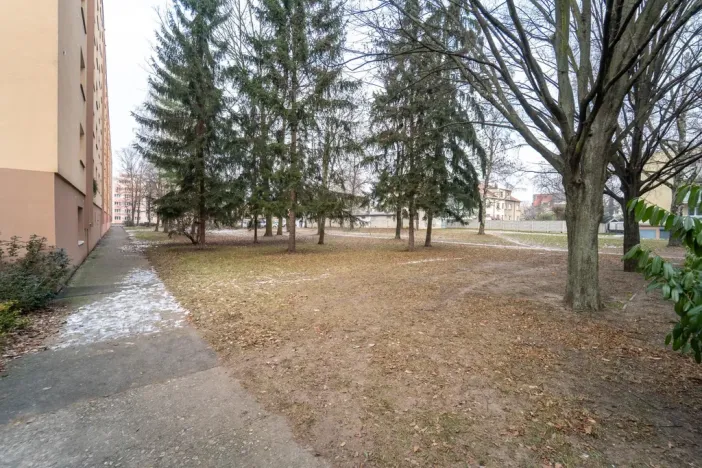 Prodej bytu 2+1, Kolín - Kolín II, Družstevní, 53 m2