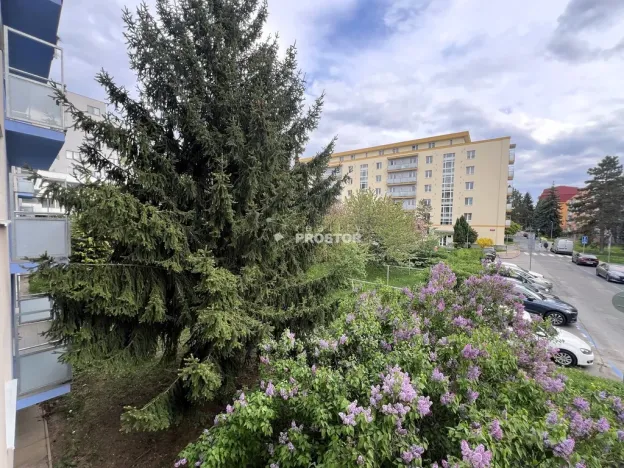 Prodej bytu 2+1, Praha - Letňany, Frýdecká, 53 m2