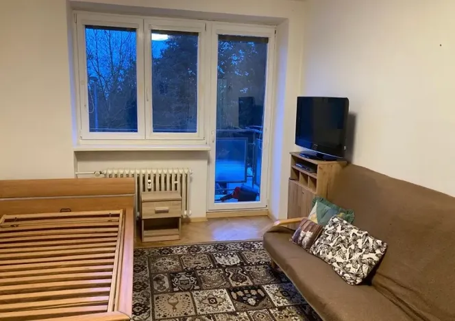 Pronájem bytu 1+1, Plzeň, Revoluční, 35 m2