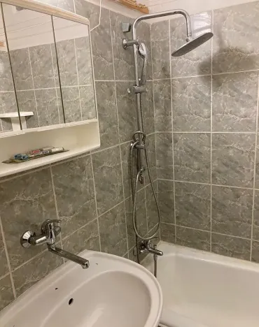 Pronájem bytu 1+1, Plzeň, Revoluční, 35 m2