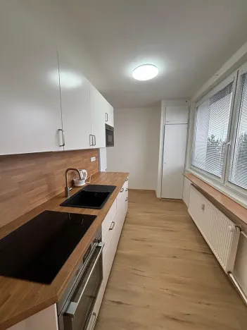 Pronájem pokoje, Olomouc, Přichystalova, 65 m2