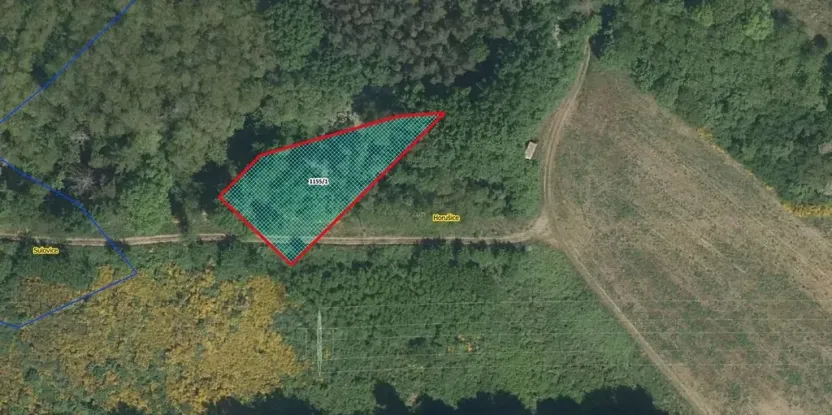 Prodej louky, Horušice, 1217 m2