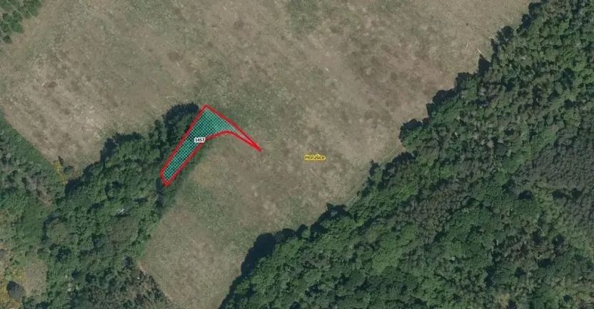 Prodej lesa, Horušice, 1029 m2