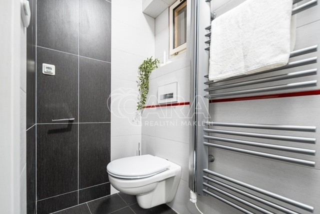 Pronájem bytu 1+1, Praha - Podolí, Na Zlatnici, 38 m2