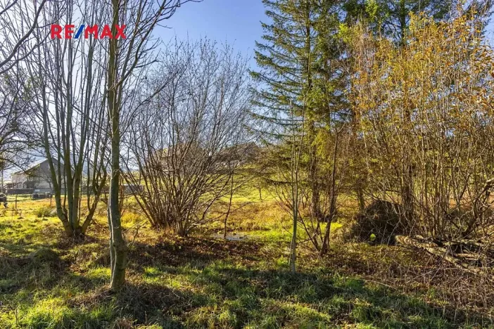 Prodej pozemku pro bydlení, Bělá pod Pradědem, 6840 m2